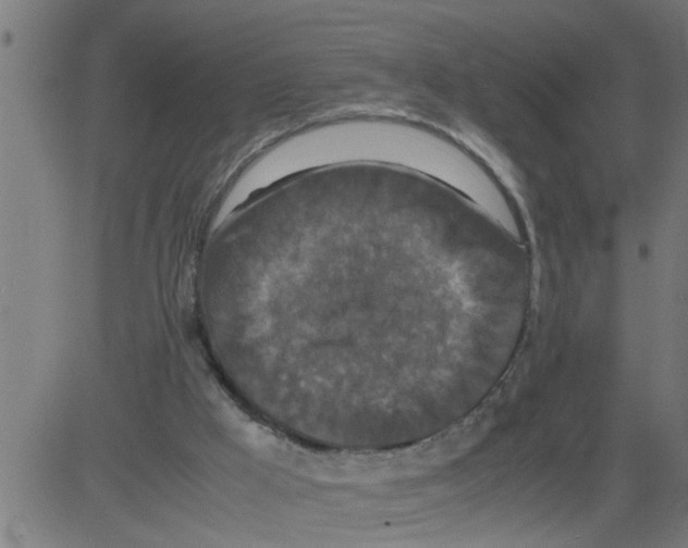 X0000081430009200702092211