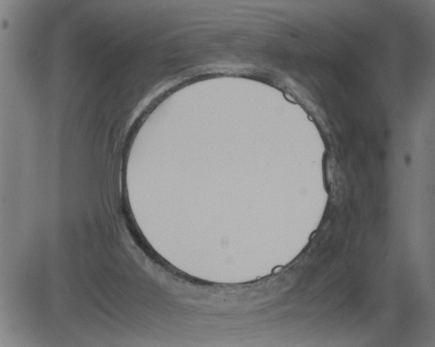 X0000081430011200702092211