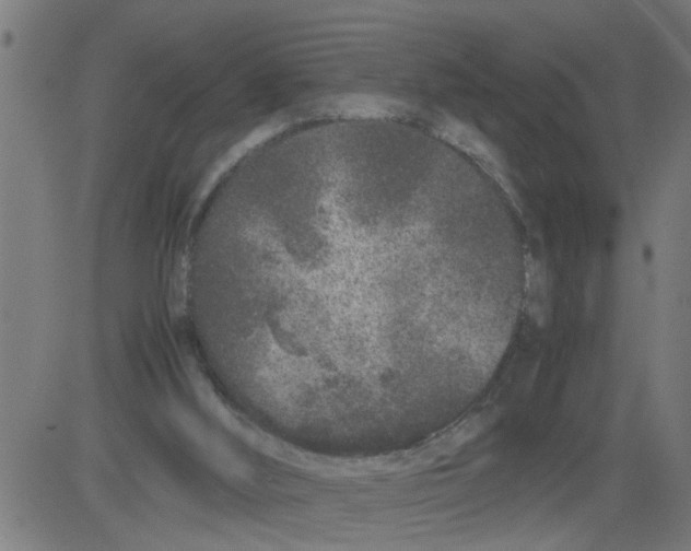 X0000081430012200702092211