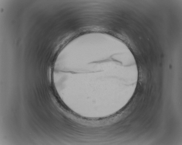 X0000081430014200702092211