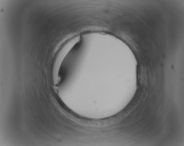 X0000081430015200702092211