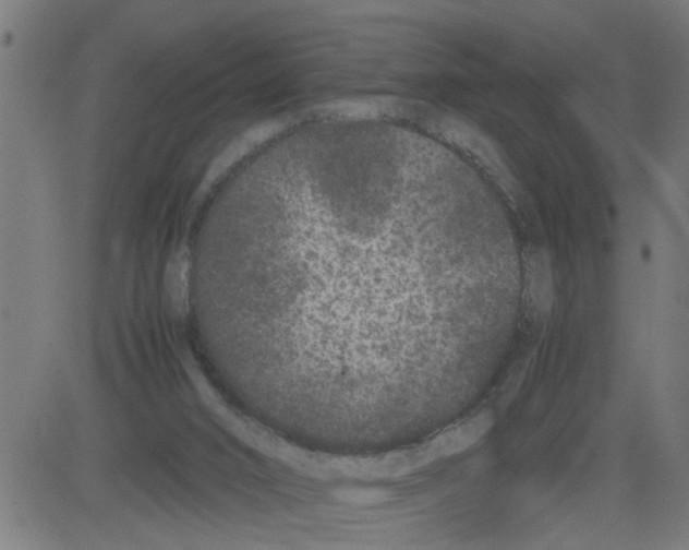 X0000081430016200702092211