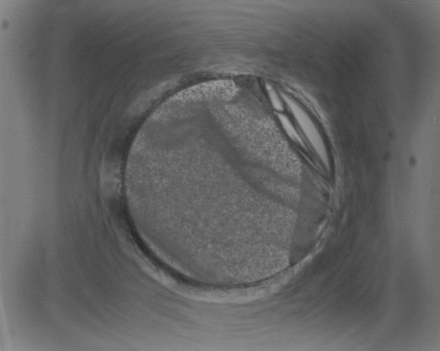 X0000081430017200702092211