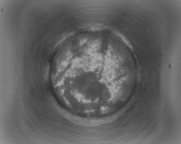 X0000081430018200702092211