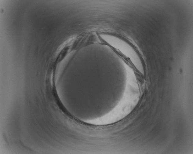 X0000081430019200702092211