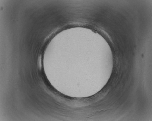 X0000081430020200702092211