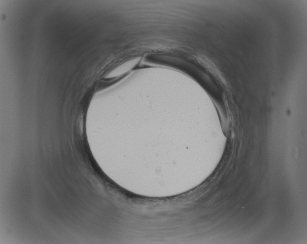 X0000081430021200702092211