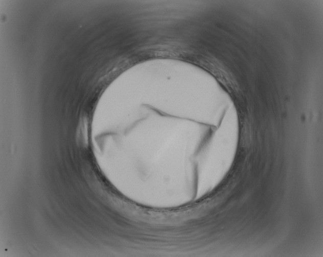 X0000081430022200702092211