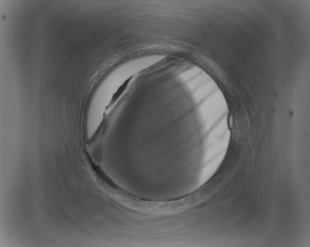 X0000081430023200702092211