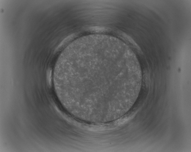 X0000081430024200702092211