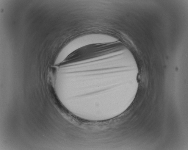 X0000081430025200702092211