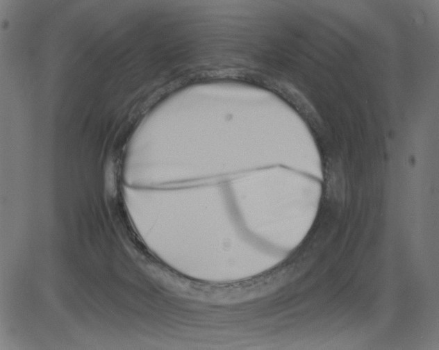 X0000081430026200702092211