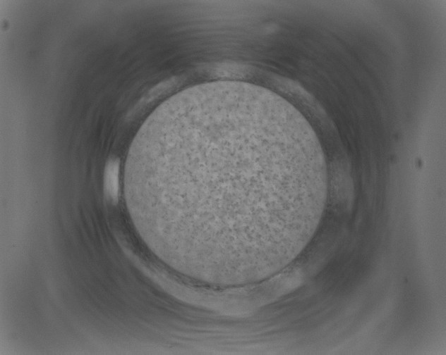 X0000081430028200702092211