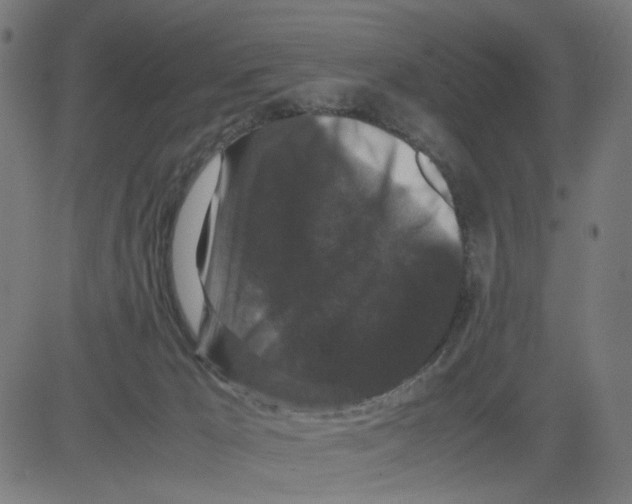 X0000081430029200702092211