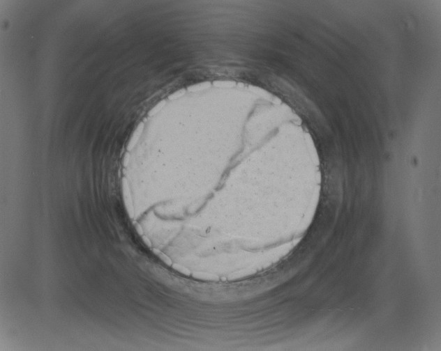 X0000081430030200702092211