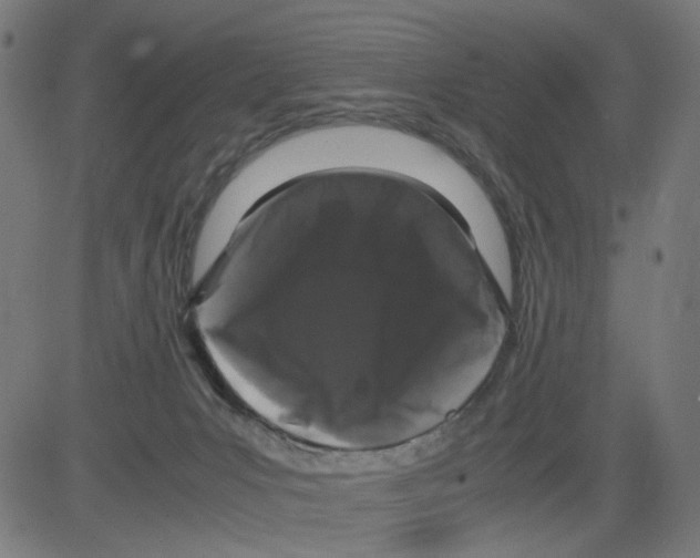 X0000081430031200702092211