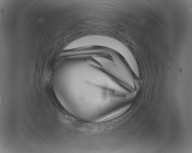 X0000081430033200702092211