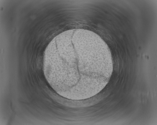 X0000081430034200702092211