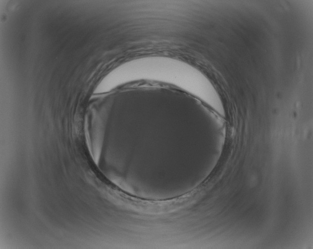 X0000081430035200702092211