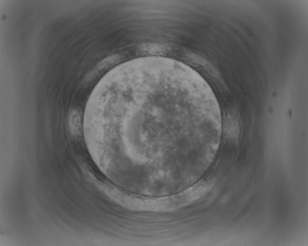 X0000081430036200702092211