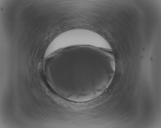 X0000081430039200702092211