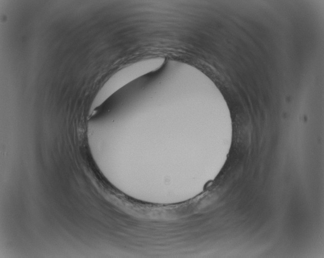 X0000081430040200702092211