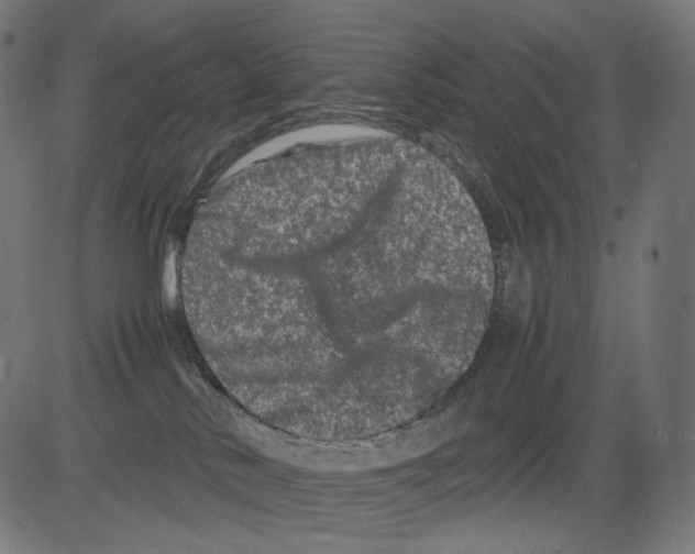 X0000081430042200702092211