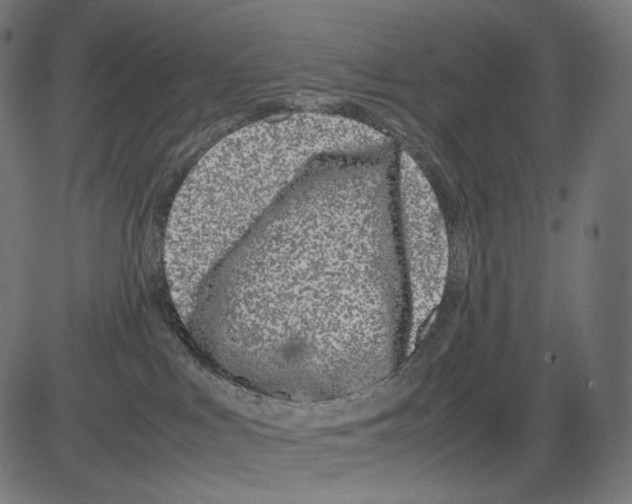 X0000081430043200702092211