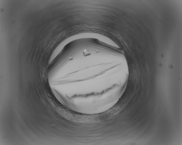 X0000081430044200702092210