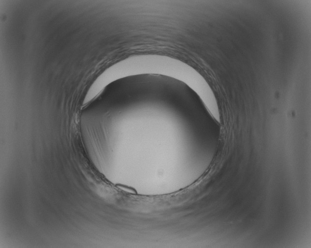 X0000081430045200702092210