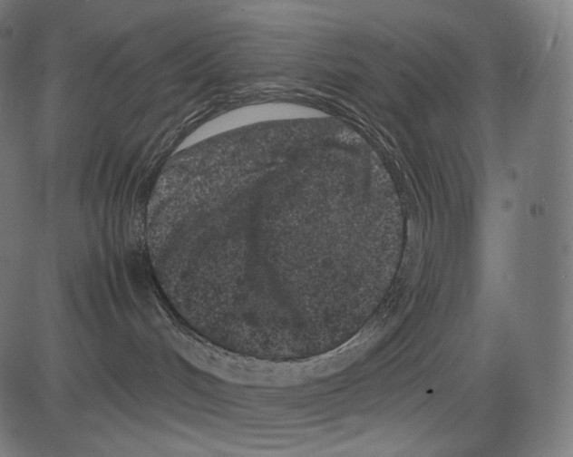 X0000081430048200702092210