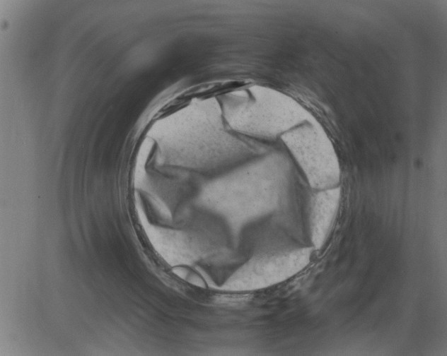 X0000081430051200702092210