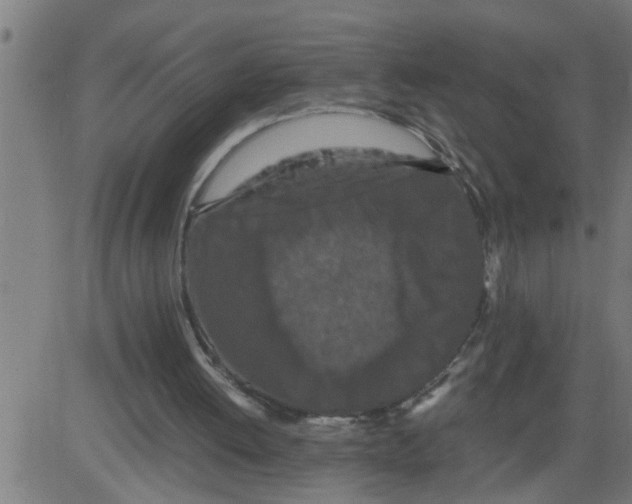 X0000081430052200702092210