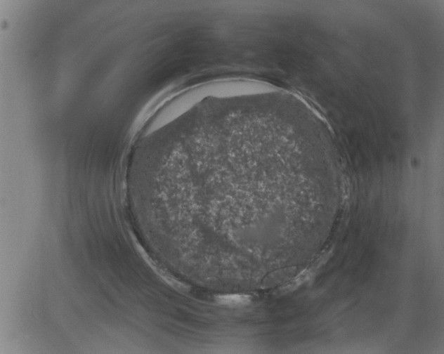 X0000081430053200702092210