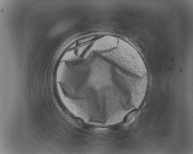 X0000081430055200702092210