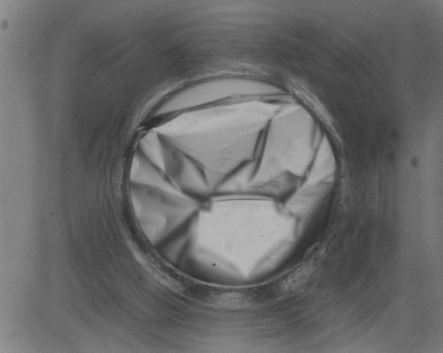 X0000081430058200702092210