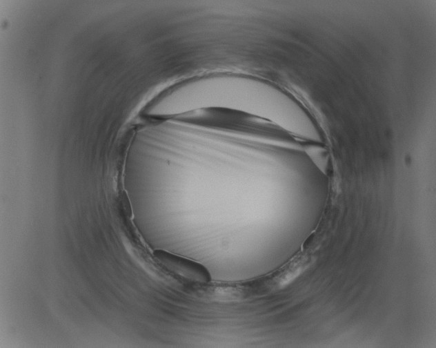 X0000081430060200702092210