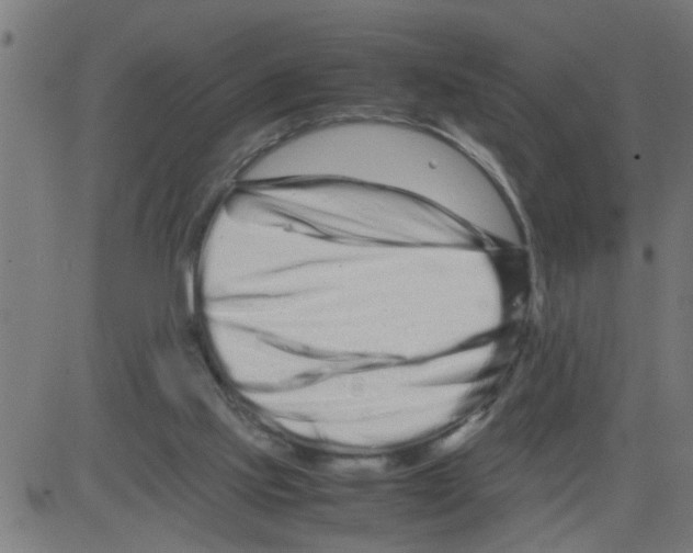 X0000081430061200702092210