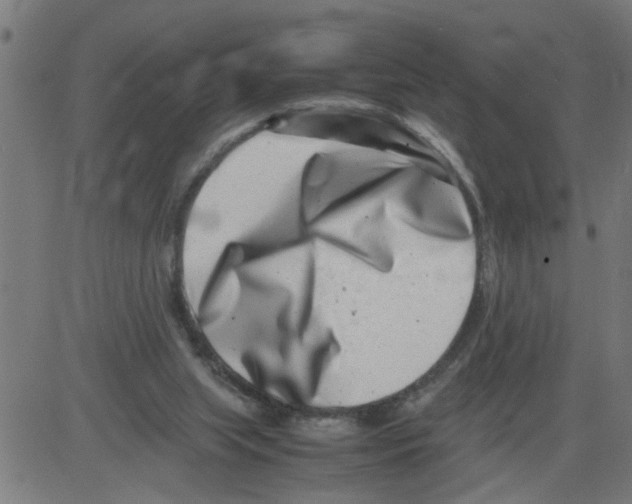 X0000081430063200702092210