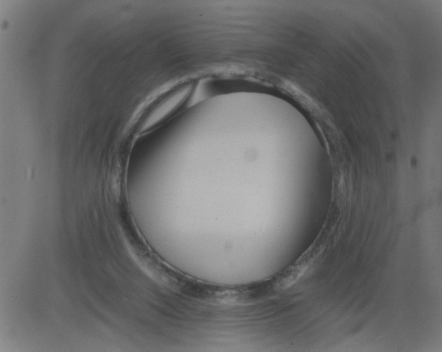 X0000081430064200702092210