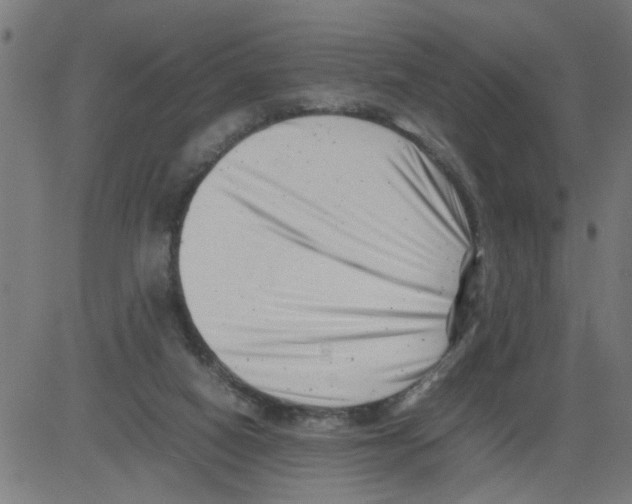 X0000081430066200702092210