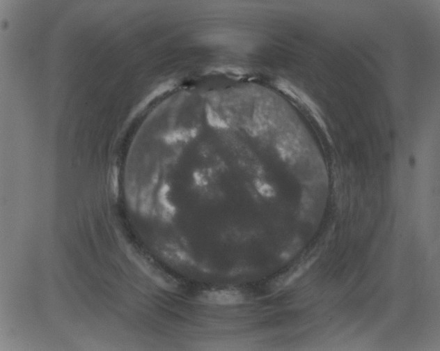 X0000081430067200702092210