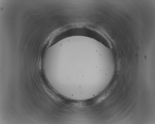 X0000081430068200702092210