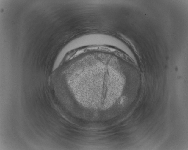 X0000081430069200702092210