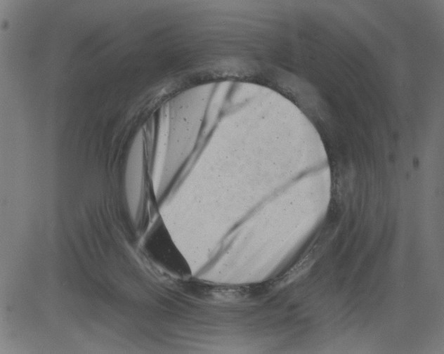 X0000081430070200702092210