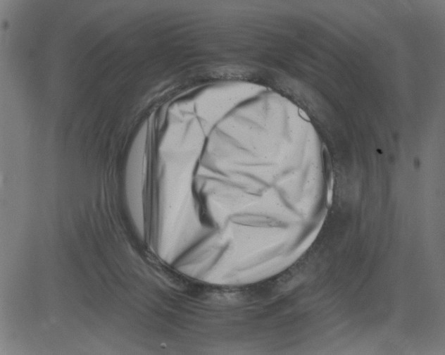 X0000081430071200702092210