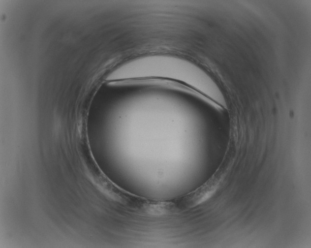 X0000081430072200702092210