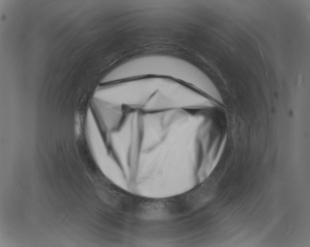 X0000081430075200702092210