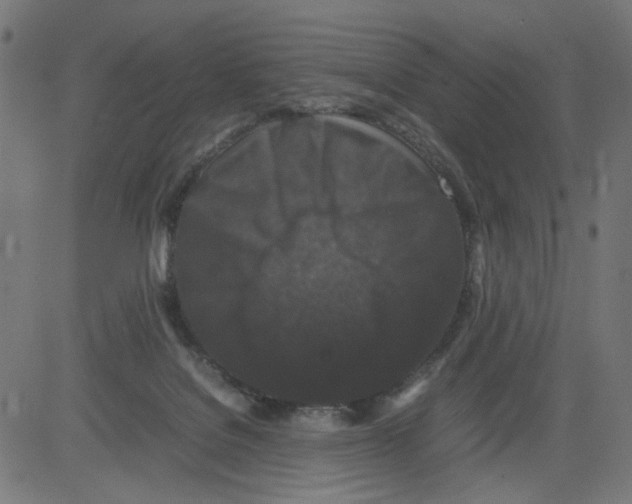 X0000081430076200702092210