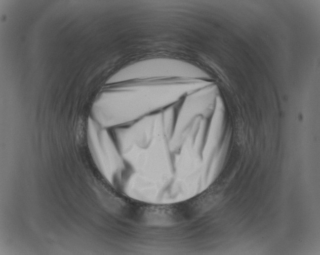 X0000081430077200702092210